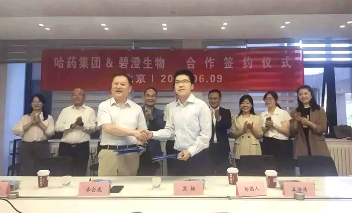 哈藥攜手清華大學(xué)，強(qiáng)強(qiáng)聯(lián)合共創(chuàng)膠原蛋白行業(yè)未來(lái)