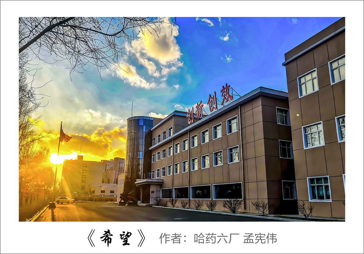 【迎國(guó)慶 展風(fēng)采】我眼中的哈藥&mdash;&mdash;職工攝影大賽作品展示！